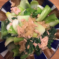 がほんず's cooksnap of when they made 青梗菜とツナのおひたし ハマる一品です☆.