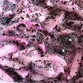 machaマッチョ's cooksnap of when they made 長芋ゆかり酢漬け.