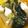 クック5E0FE9☆'s cooksnap of when they made かぶと小松菜のスープ.