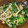 クックVOY1Q3☆'s cooksnap of when they made しめじとほうれん草のバター炒め.