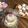 レオンパパ's cooksnap of when they made アイシングクッキーでデコケーキ.