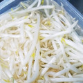 torisantom's cooksnap of when they made もやし★長持ち保存方法.