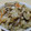 silverglit's cooksnap of when they made 鶏ごぼうの五目ご飯.