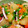 クック64OY6U☆'s cooksnap of when they made イカと大根の煮物.