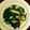 クック47PS09☆'s cooksnap of when they made 万能副菜！ほうれん草とベーコンのソテー.