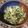 クック5I7EP2☆'s cooksnap of when they made 大根葉の炒め煮⁂節約ごはんのおとも.