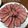 ともみろ's cooksnap of when they made ローストビーフに牛ブロック肉の盛り付け方.