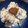 け〜〜ちゃん's cooksnap of when they made 鱧の落とし♪.