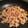 さとぴょん～修行中～'s cooksnap of when they made 豚バラと玉ねぎの生姜焼き.