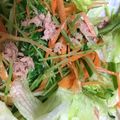 ちゃぎー's cooksnap of when they made トマトで鮮やかに☆ツナと豆苗のサラダ.