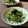 misatona's cooksnap of when they made 水菜と塩昆布の簡単和え物♪.