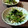 misatona's cooksnap of when they made 水菜と塩昆布の簡単和え物♪.