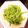コッピー３０５'s cooksnap of when they made レンジで１分半！ピーマンのおひたし☆.