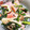まあちゃんとペロ's cooksnap of when they made ごま油香るほうれん草とベーコンの中華炒め.