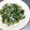 ☆ありか358☆'s cooksnap of when they made ✨ほうれん草と卵の炒め物✨.