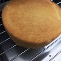 ﾓﾓ娘's cooksnap of when they made 基本のスポンジケーキ（4号　12㎝）.