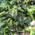 えそそそ's cooksnap of when they made 簡単ほうれん草のナムル♪ごま和えおひたし.