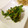 そらてんママ's cooksnap of when they made ほうれん草のおひたし.