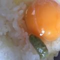 ﾌﾞﾚﾝﾀﾞ's cooksnap of when they made 朝食に☆ゆず胡椒入り卵かけご飯.