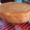さえま's cooksnap of when they made 基本のスポンジケーキ.