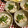 ☆Rokko☆'s cooksnap of when they made 蓮根の梅ごのみあえ.