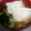 クックHPJDYZ☆'s cooksnap of when they made きのこたっぷり♪簡単！餅入りきのこ汁.