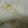 クックI3NMVO☆'s cooksnap of when they made HMでクリチとジャムinレンジ蒸しパン.