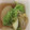 ルルルるか☆'s cooksnap of when they made 優しいお味♪大根と白菜と白滝の煮浸し.
