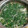 ☆ゆかねえさん☆'s cooksnap of when they made ほうれん草とネギの生姜スープ.