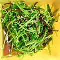 キミたんママ's cooksnap of when they made 豆苗と塩昆布のナムル.