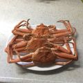 クックM5ZNR8☆'s cooksnap of when they made カニのゆで方（香箱がに・ズワイガニ）.
