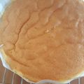 ふっつーの主婦♬'s cooksnap of when they made ★簡単絶品本格的☆スポンジケーキ.