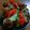 クックHIYL6I☆'s cooksnap of when they made クリスマス♬♬ブロッサム❀バケット.