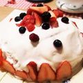 yyyuko's cooksnap of when they made ヘルシードームケーキ☆.