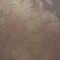 ma___111's cooksnap of when they made 焼豚とごぼうの炊き込み御飯.