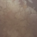 ma___111's cooksnap of when they made 焼豚とごぼうの炊き込み御飯.