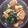 まりもひよこ's cooksnap of when they made 大根の葉と油揚げの胡麻油炒め.