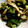 ２４なるるん's cooksnap of when they made ﾌﾞﾛｯｺﾘｰとエリンギ*炒めただけ*.