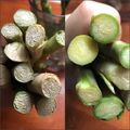 KonoB's cooksnap of when they made ぐったりアスパラやセロリの救済（≧∇≦）.