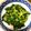＊さらん＊'s cooksnap of when they made 【作り置き】春菊の柚子ナムル.