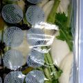 なおちゃんcc's cooksnap of when they made 塩昆布で簡単かぶの浅漬け★.
