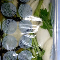 なおちゃんcc's cooksnap of when they made 塩昆布で簡単かぶの浅漬け★.