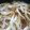 るの＊'s cooksnap of when they made ツナと白菜のとろ～りあんかけうどん.