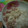 いくちゅう's cooksnap of when they made 大根さえあれば…の簡単大根サラダ(^^♪.