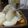 ダイナマイト漆黒's cooksnap of when they made とろろ昆布が名脇役♪かぶの白だし煮.