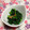 ぽぽきゅ's cooksnap of when they made ほうれん草の梅干し和え.
