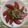 クックHGUL5K☆'s cooksnap of when they made 簡単5分で一品　トマトサラダ.
