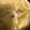 クックVE4KPX☆'s cooksnap of when they made 白菜とろーりミルクスープ.