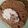 クックS0610B☆'s cooksnap of when they made コーヒー風味♡ロールケーキ.