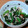 うさあや＾＾'s cooksnap of when they made 小松菜の磯部和え.